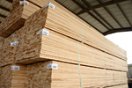 Power Pine MSR Lumber